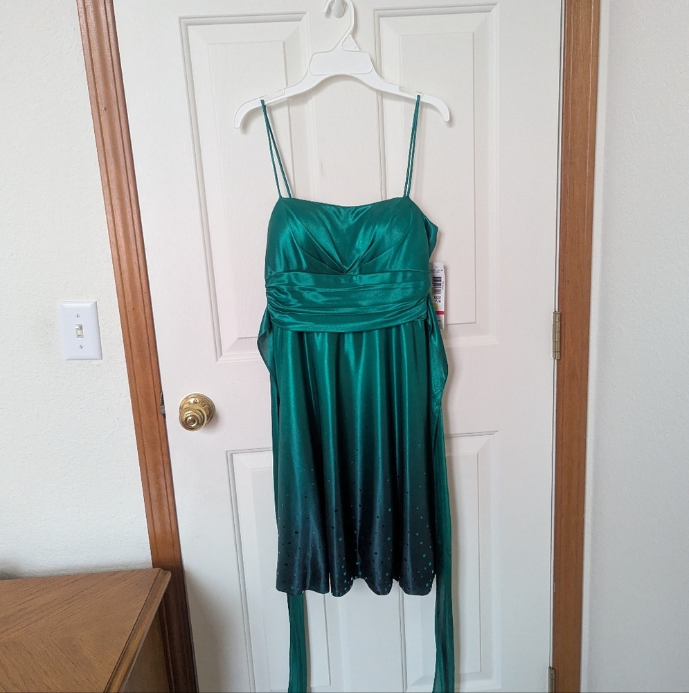 NWT Satin Ombre & Sequin Formal Dress